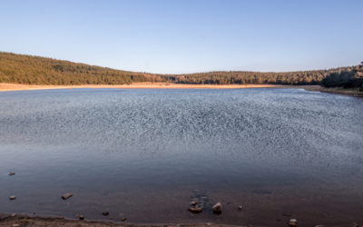 ETANG DE BARRANDON