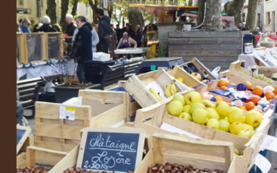 Terroir d’ici et activités traditionnelles